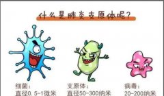 z6com.尊龙时凯科技