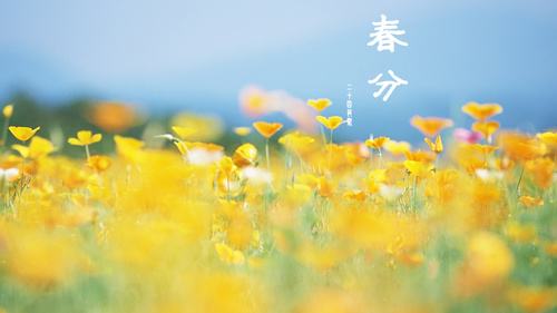 身高体沉秤