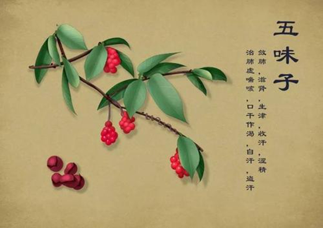 z6com.尊龙时凯科技